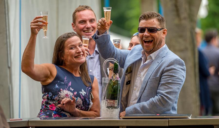 People raising a glass of fizz