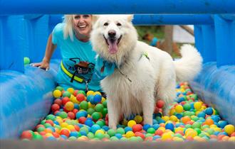 Muddy Dog Challenge - woman and dog in a ball pit