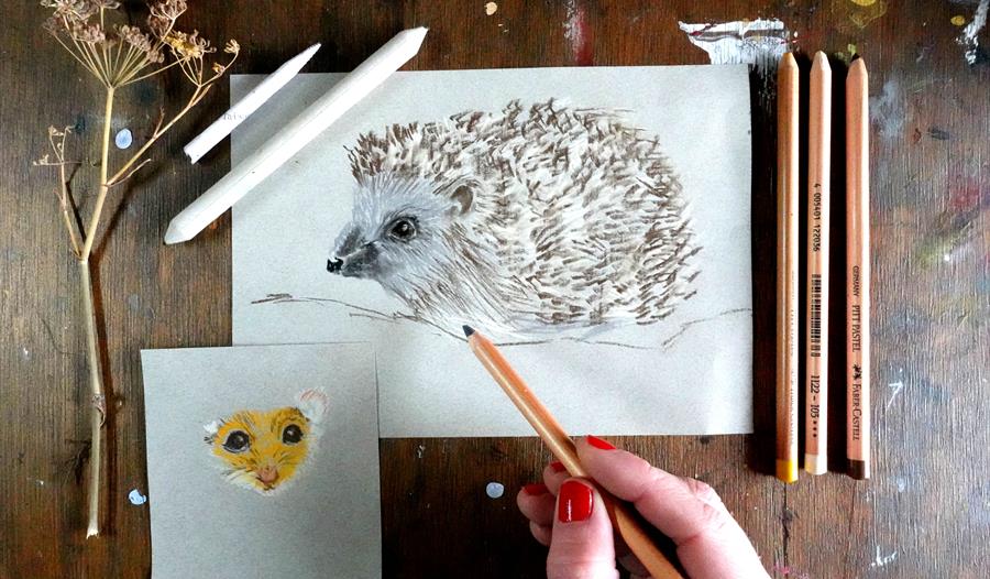 Hedgehogs in Pastels