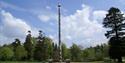 Windsor Great Park | Totem Pole