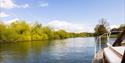 The Boat Hire Company | view of the River Thames from Fringilla