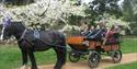 Ascot Carriages - Family Ride in Windsor Great Park