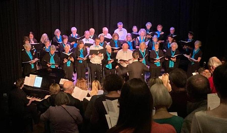 Windsor Soundswell Choir