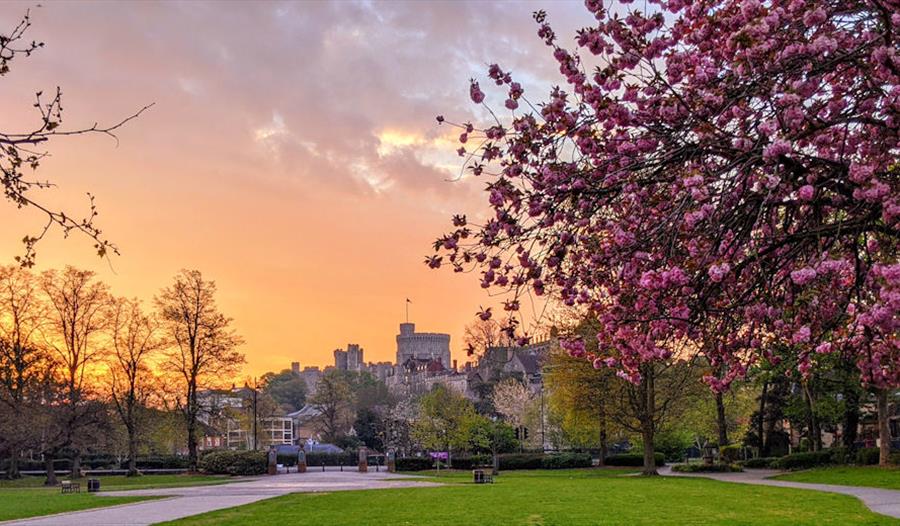 Alexandra Gardens in spring. Image courtesy Windsor & Eton PhotoArt.
