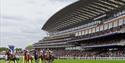 Horses race past the grandstand at Royal Ascot