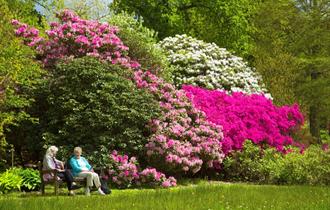 The Savill Garden in spring
