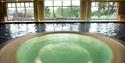 Danesfield House Hotel and Spa: pool