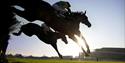 Ascot Racecourse: racehorses land during a jumps meeting