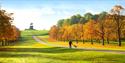 Windsor Great Park: The Long Walk in autumn