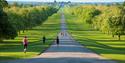 Windsor Great Park | The Long Walk