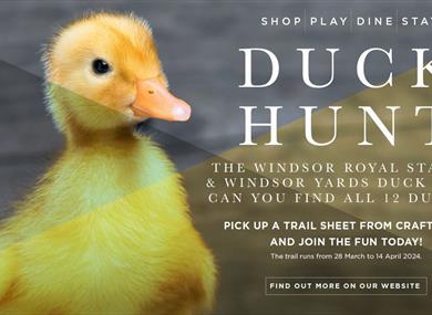 Windsor Royal Station & Windsor Yards Duck Hunt