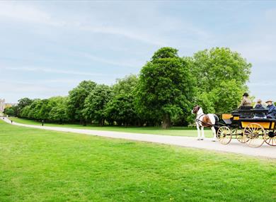 Windsor Carriages on the Long Walk