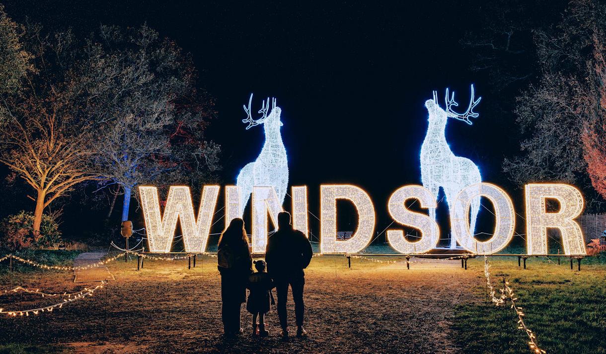 Windsor Great Park Illuminated - Visit Windsor