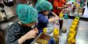 Dr Choc's Windsor Chocolate Factory: children doing a chocolate making workshop