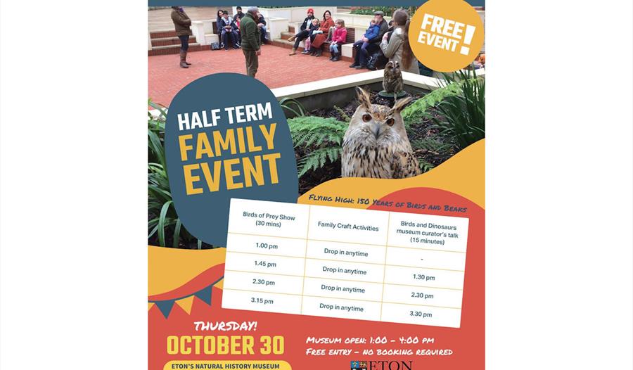Half term family event | Flying High: 150 Years of Birds and Beaks Half term family event | Flying High: 150 Years of Birds and Beaks