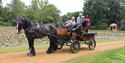 Carriage ride in the Royal Landscape