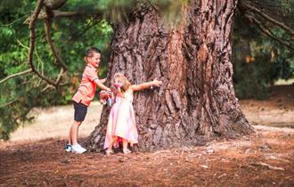 Children hugging an old tree