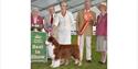 Windsor Championship Dog Show: 2019 Best in Show (picture courtesy of Higham Press)