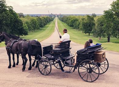 Windsor Carriages and the view down the Long Walk towards Windsor Castle