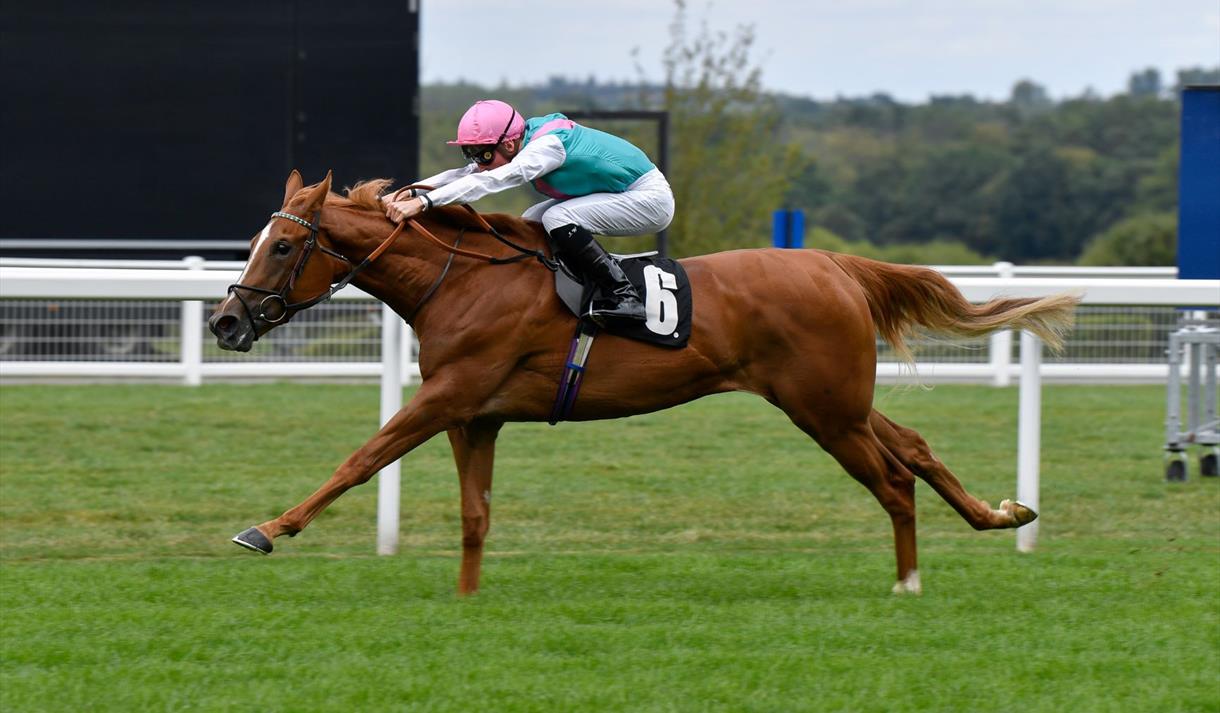 The Big Ascot Food & Wine Racing Weekend