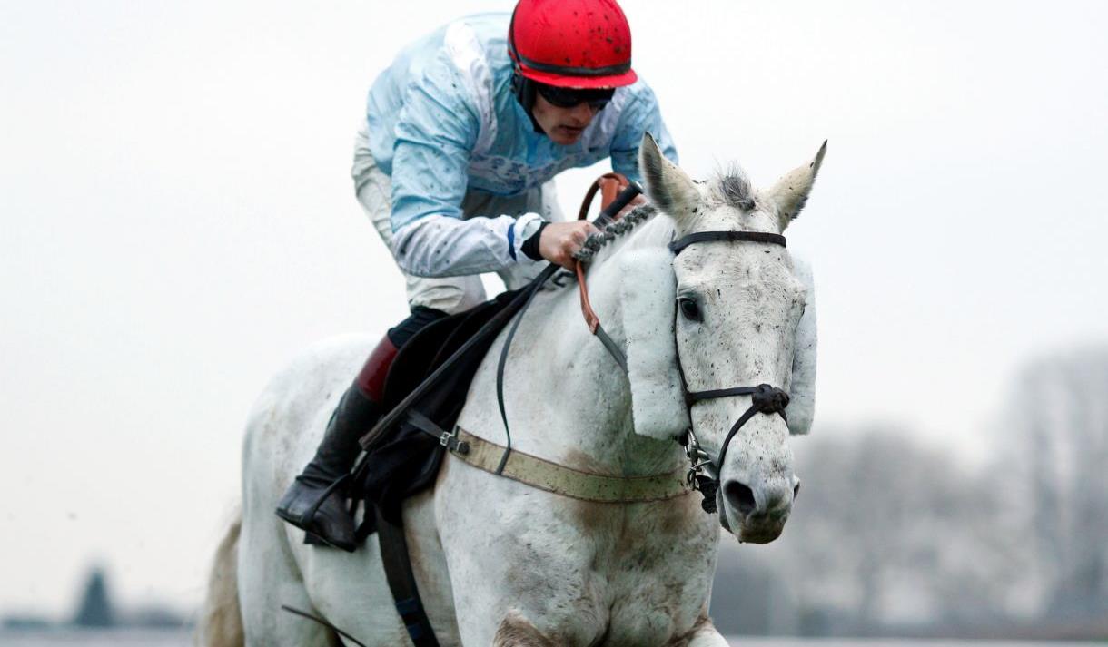 Ladbroke's November Racing Weekend