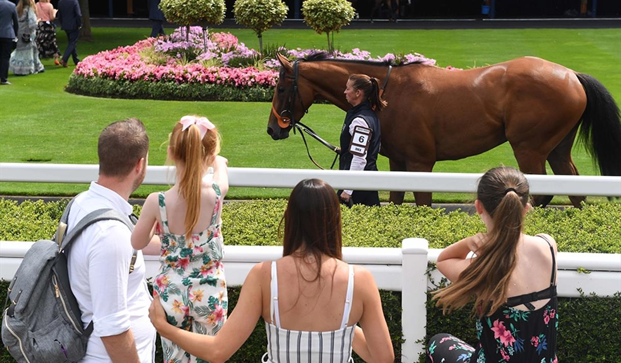 Racing to Zero Summer Mile Weekend at Ascot