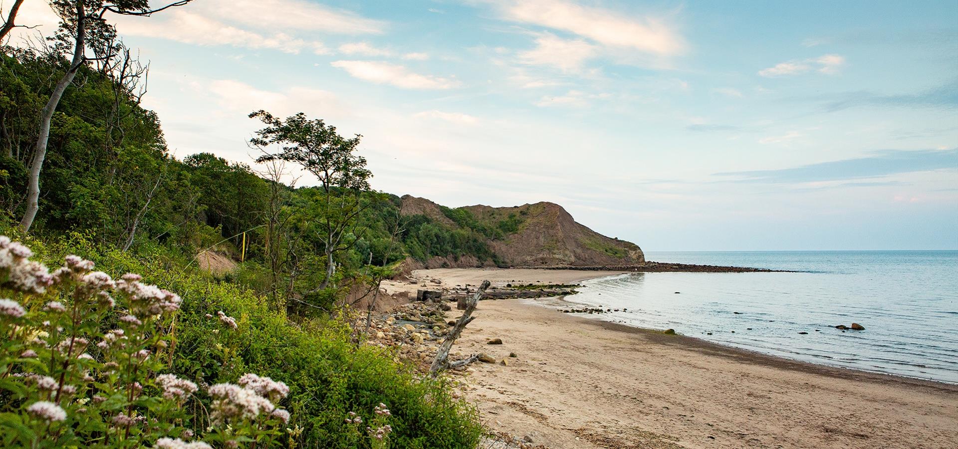 Cayton Bay Discover Yorkshire Coast