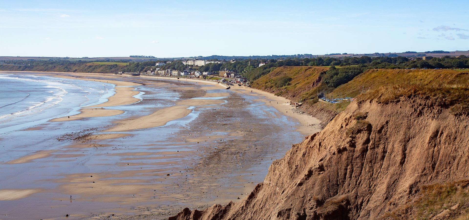 does filey beach allow dogs