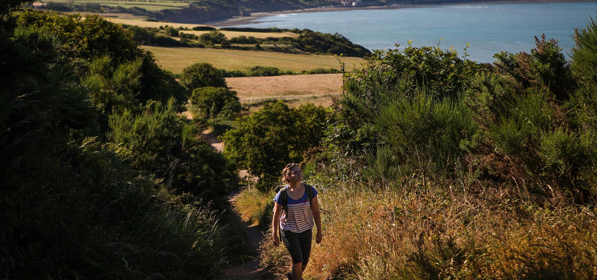 An image of Walking Trails Around Ravenscar by Ceri Oakes