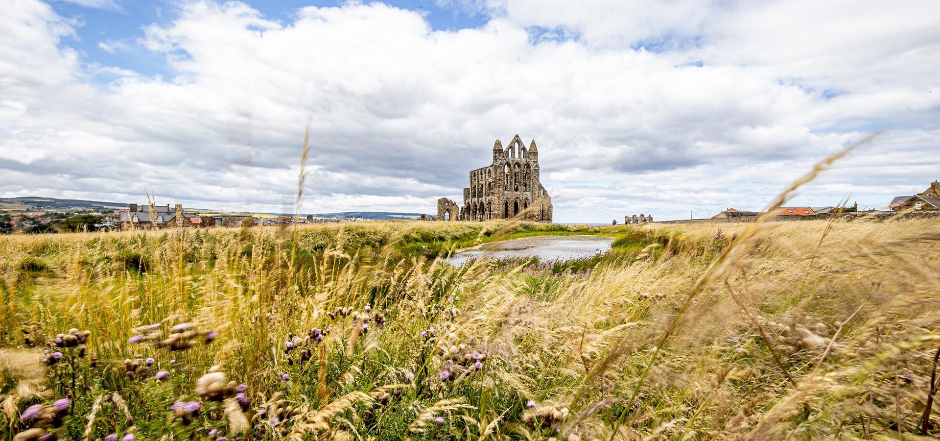 An image of Whitby Abbey - Charlotte Graham