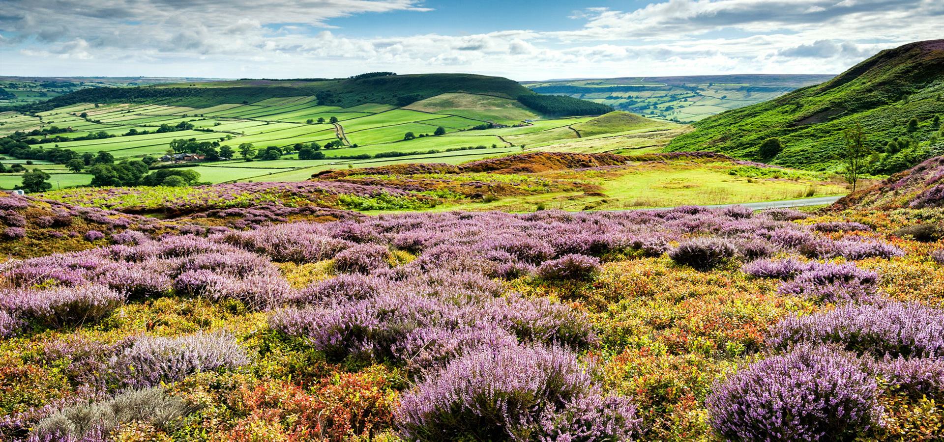 Holidays in North York Moors Places to stay, Things to do