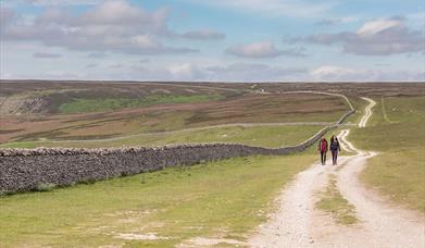An image of farmland, dry stone wall and walkers - Photograph by Gary Walsh, Dependable Productions.