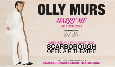 An image of the Olly Murs poster