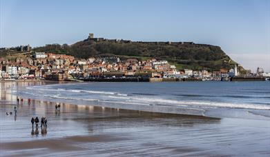 image of south bay beach