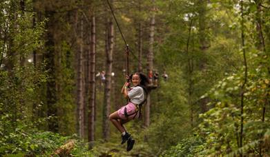 An image of Go Ape Dalby Forest