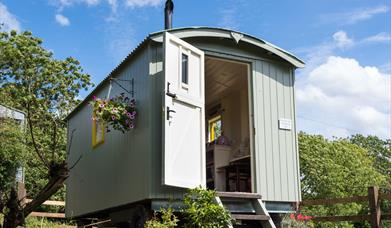 An image of Rosedale Light Shepherds Hut
