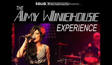 Promo photo for Amy Winehouse Tribute