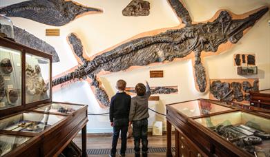 An image of two children admiring an Ichthyosaur at Whitby Museum.