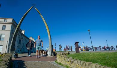 Whale Bone Arch