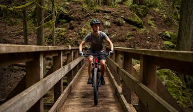 Dalby Forest Cycle Hub