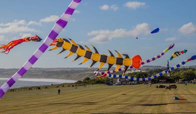 Photo shows colourful kites flying above a green field under a blue sky with a few white clouds. Filey beach can be seen in the distance.
