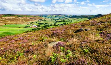 North York Moors