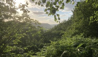 A delightful view from Raincliffe Woods