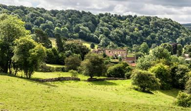 An image of Rievaulx Abbey
