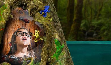 An image of SEA LIFE Scarborough rainforest