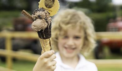 An image of a child with an ice cream