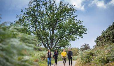 An image of walkers in the North York Moors