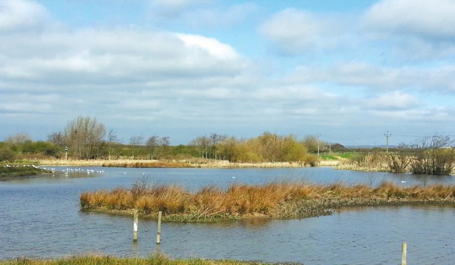 Filey Dams Nature Reserve Nature Reserve In Filey Filey Discover Yorkshire Coast