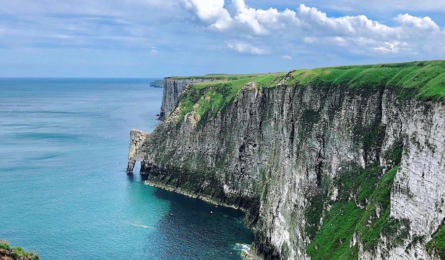 can you take dogs to bempton cliffs