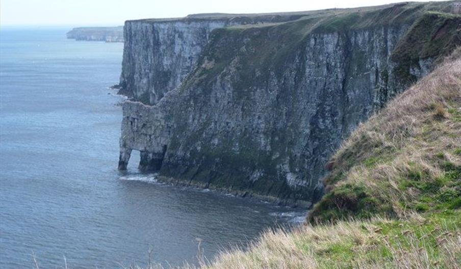 can you take dogs to bempton cliffs